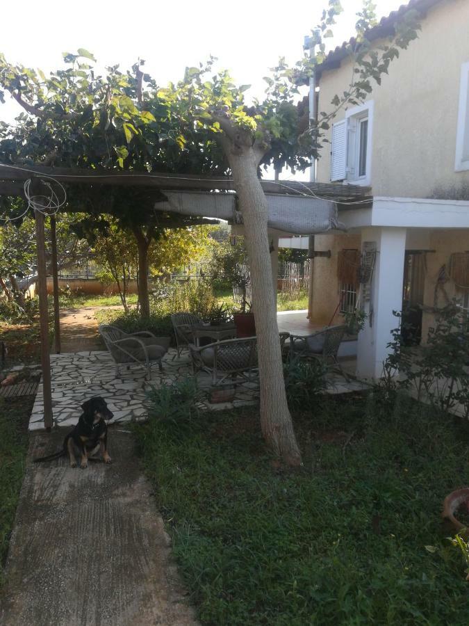 Country Rooms Near Athens - Airport Vravrona Buitenkant foto
